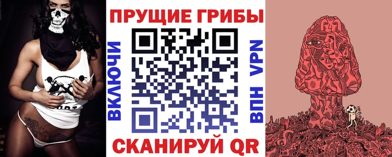 что такое наркотик Малоархангельск Галлюциногенные грибы Psilocybine cubensis